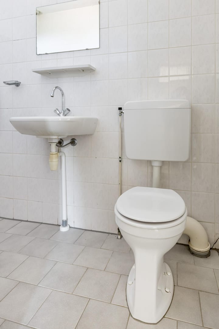 Foto 16 van Venus 69