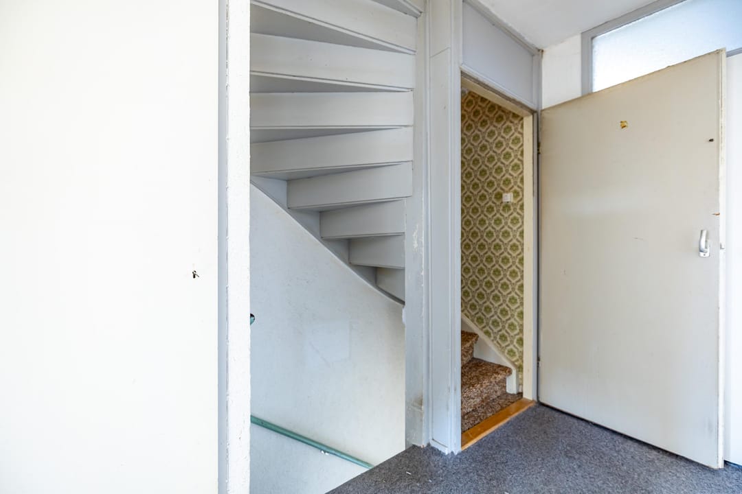 Photo 17 of Venus 69