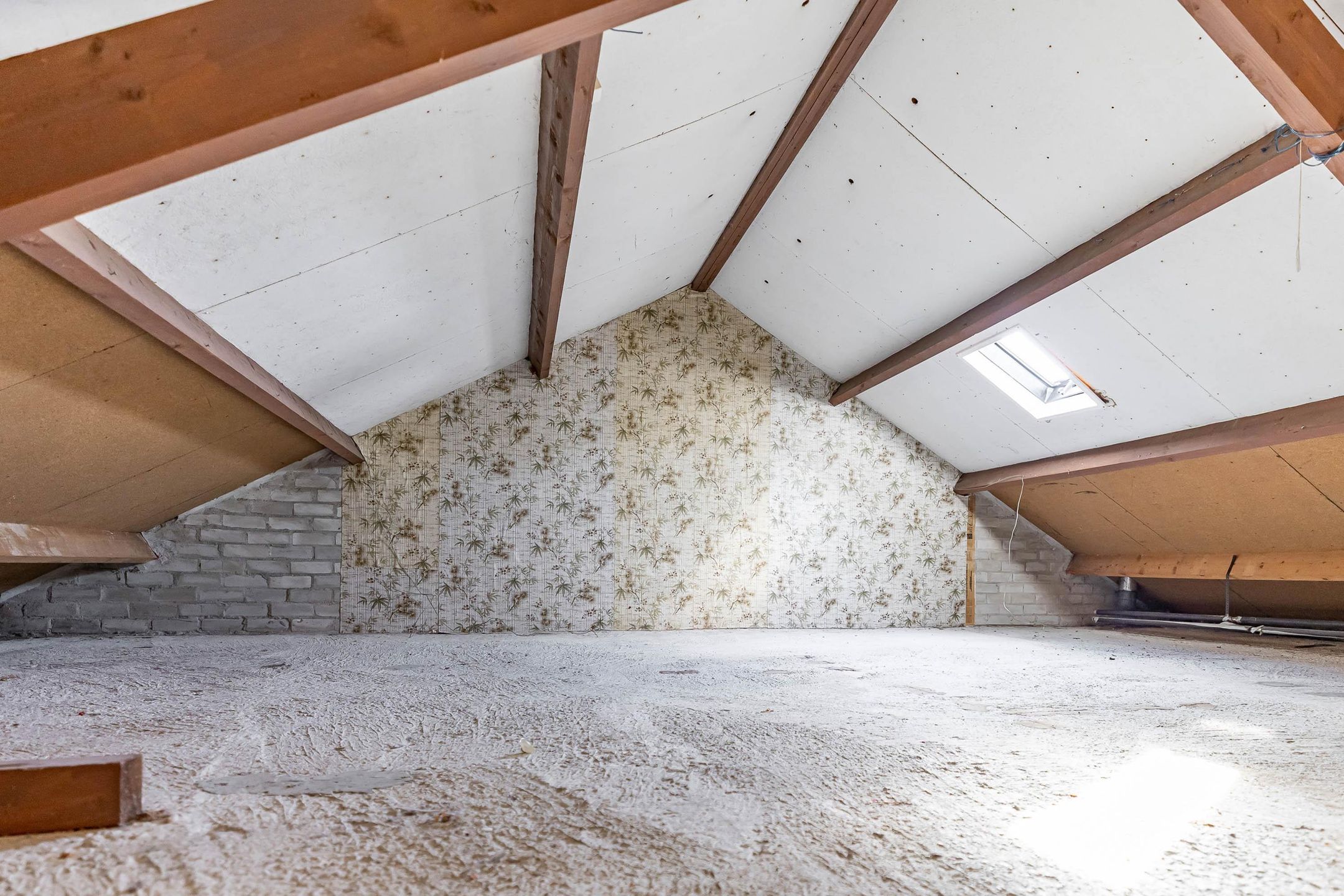 Photo 18 of Venus 69