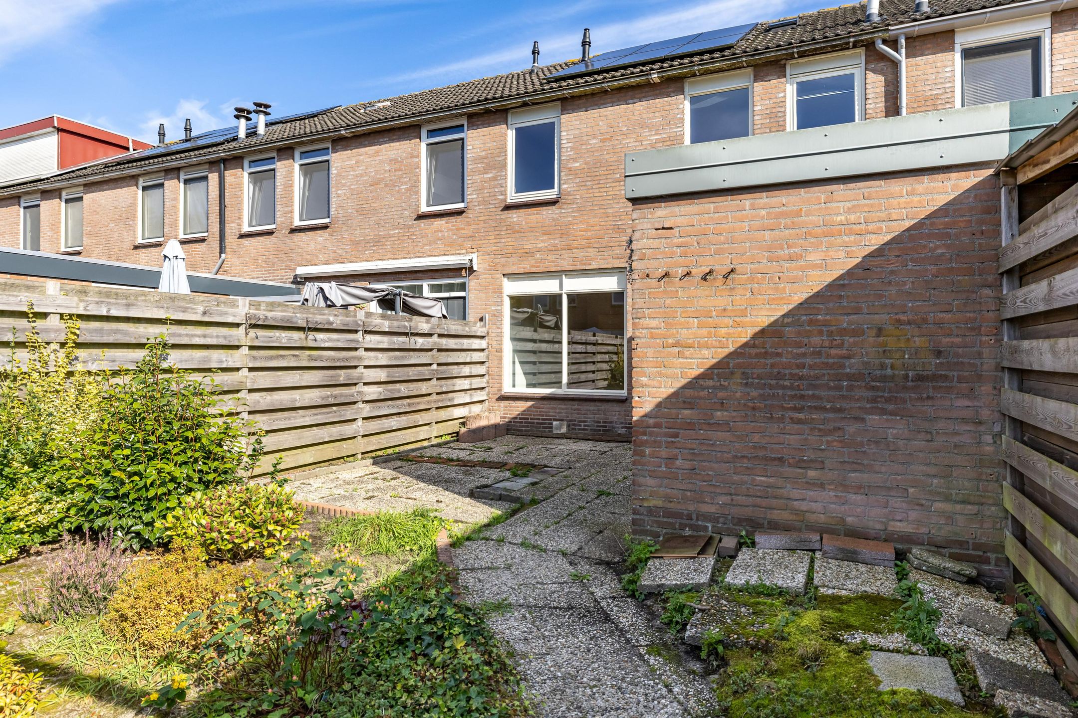 Photo 21 of Venus 69