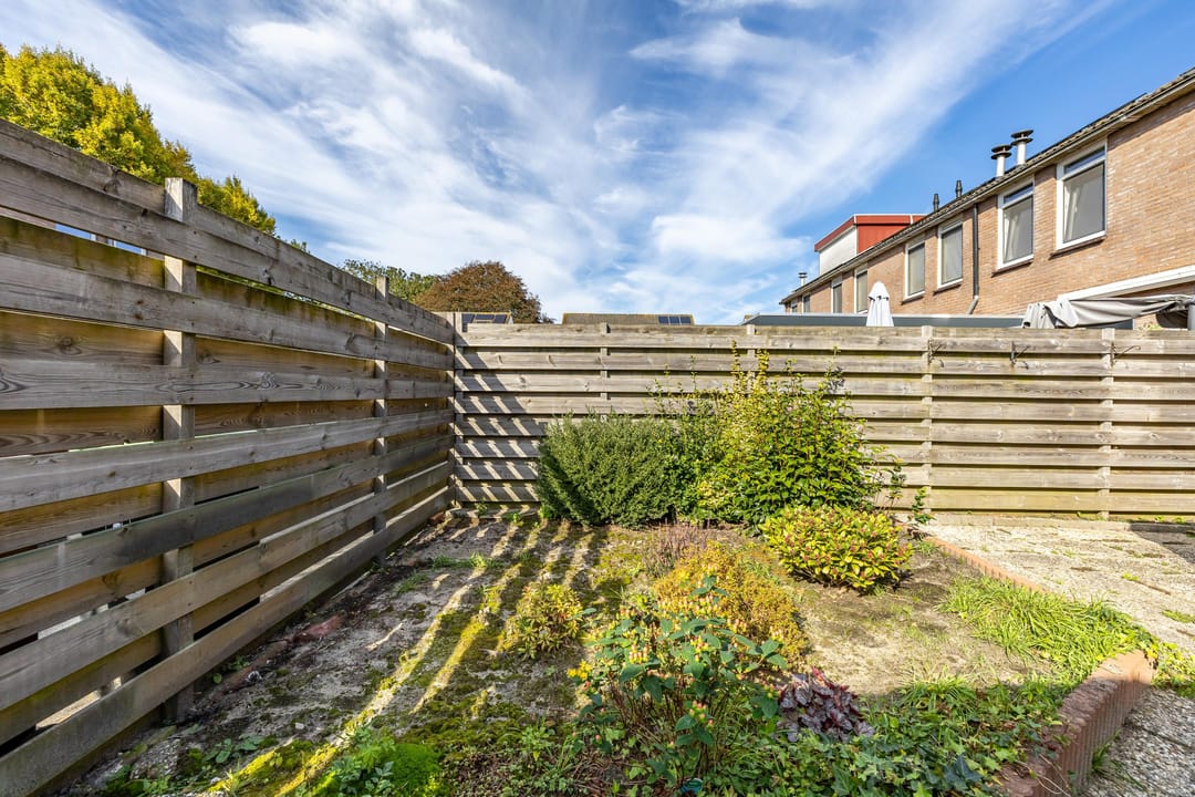 Photo 22 of Venus 69