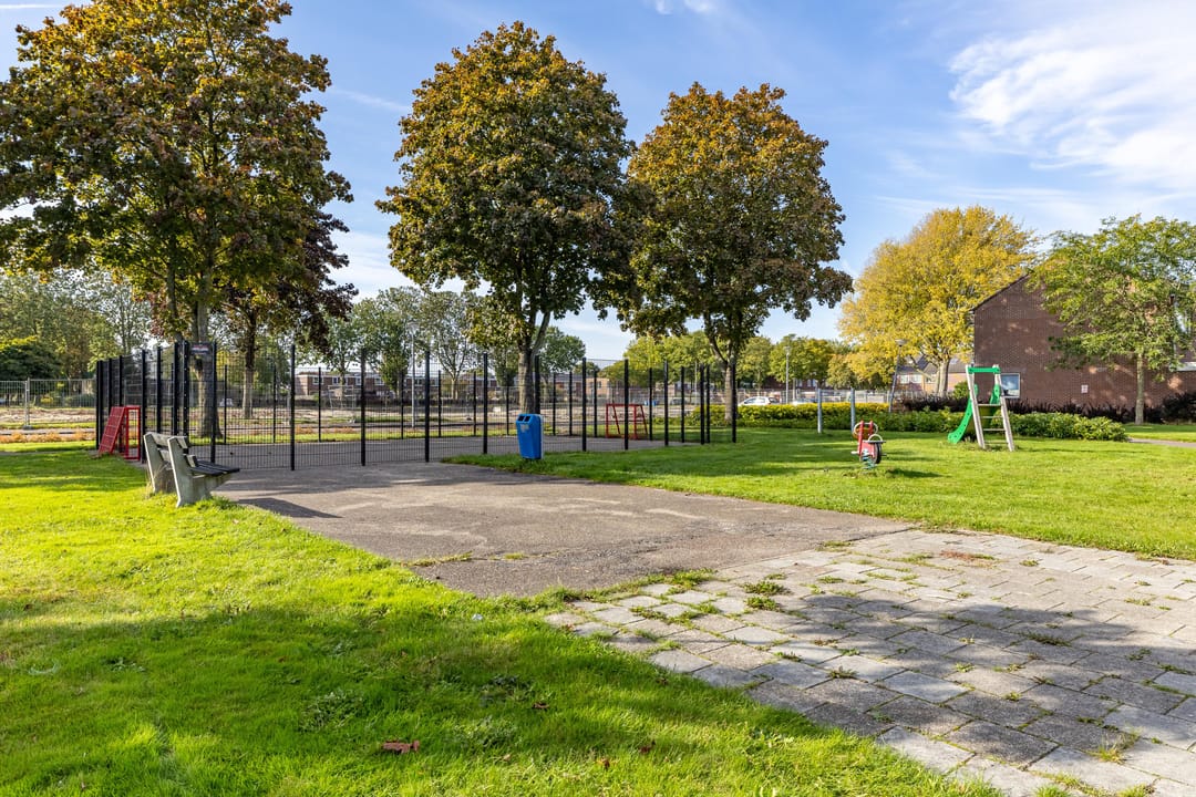 Photo 26 of Venus 69