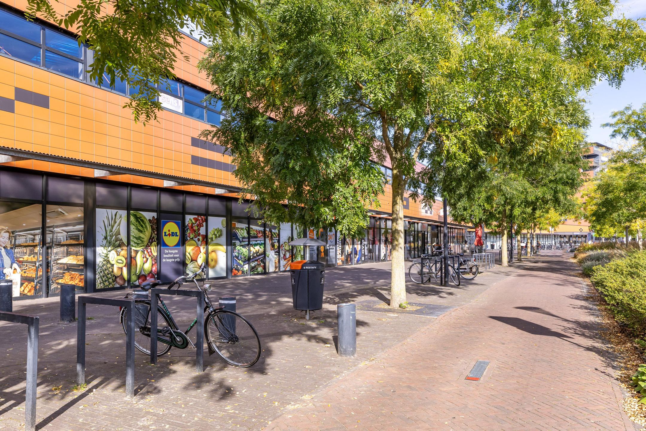 Photo 27 of Venus 69