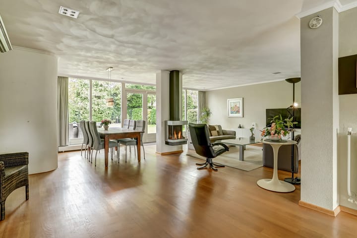 Foto 4 van Van Haestrechtstraat 10