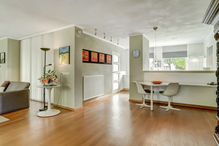 Foto 12 van Van Haestrechtstraat 10