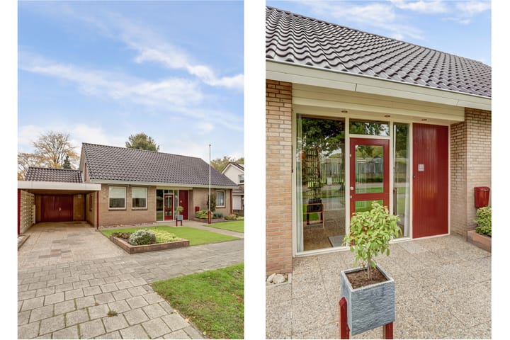 Foto 49 van Van Haestrechtstraat 10