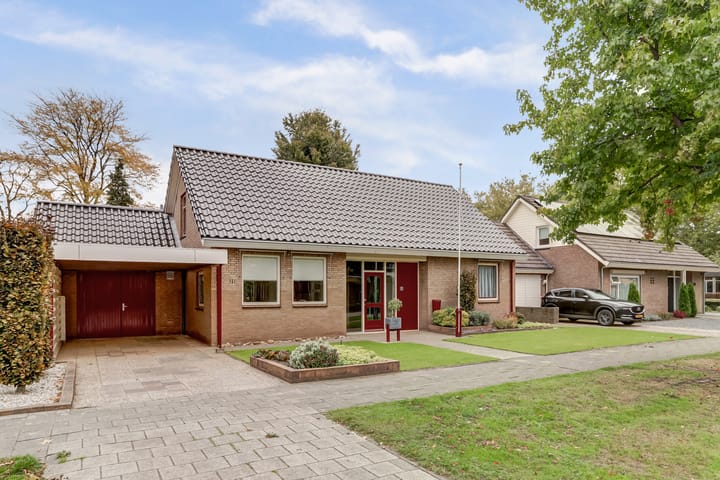 Foto 50 van Van Haestrechtstraat 10