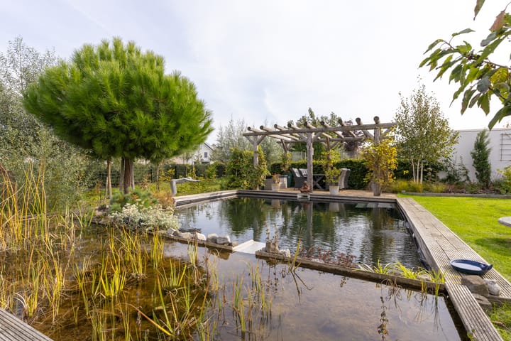 Foto 52 van Senecalaan 12