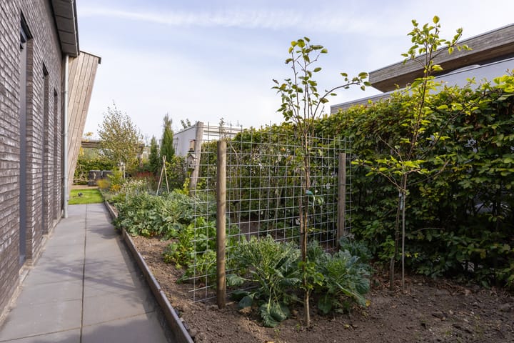 Foto 60 van Senecalaan 12