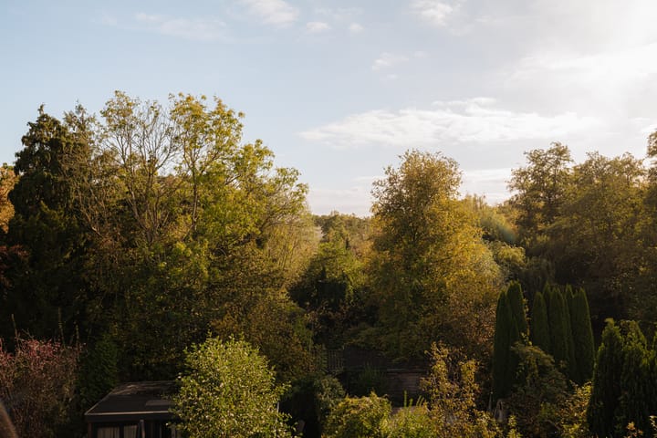 Photo 46 of Amsterdamseweg 326