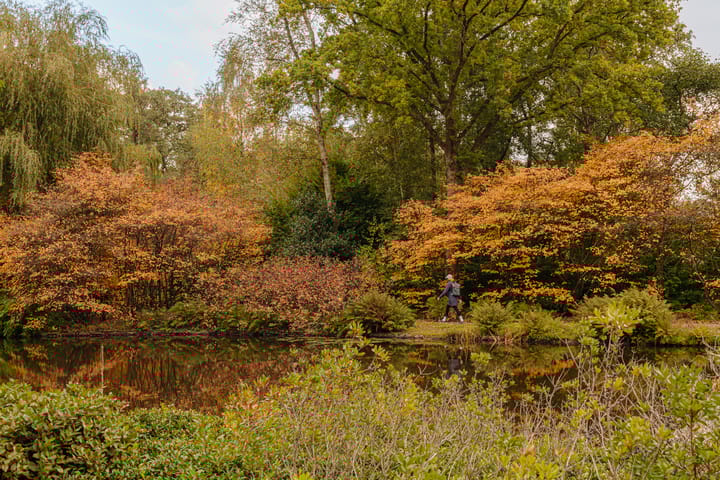 Photo 55 of Amsterdamseweg 326