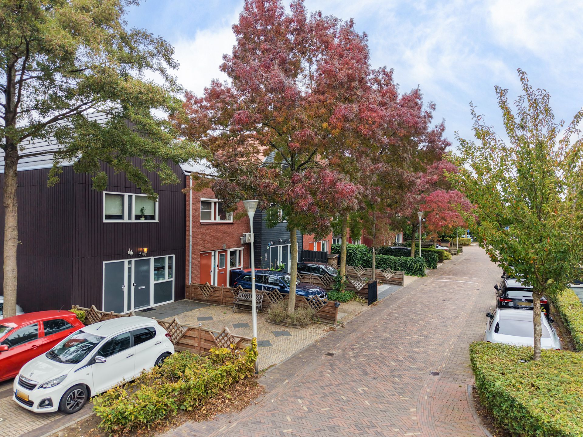 Foto 6 van Gele Lis 156