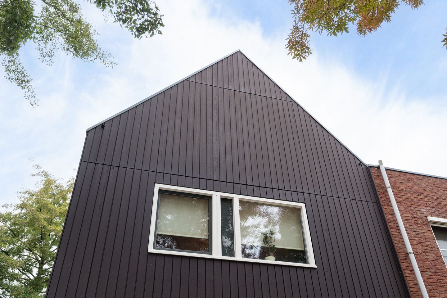 Foto 10 van Gele Lis 156