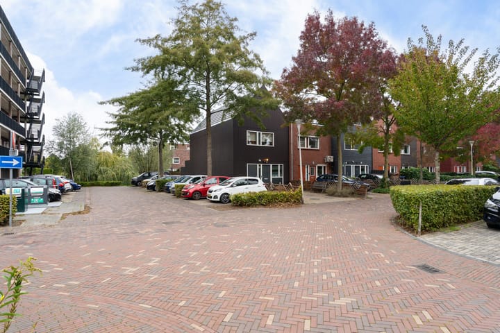 Photo 12 of Gele Lis 156