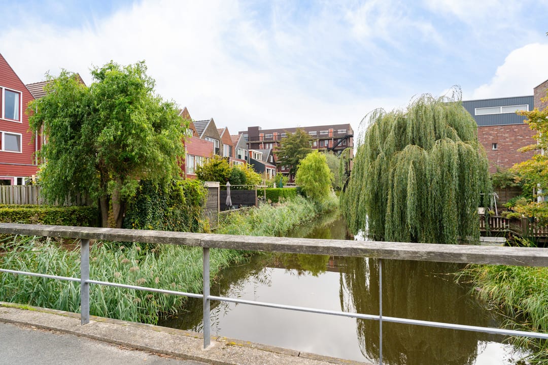 Foto 8 van Gele Lis 156