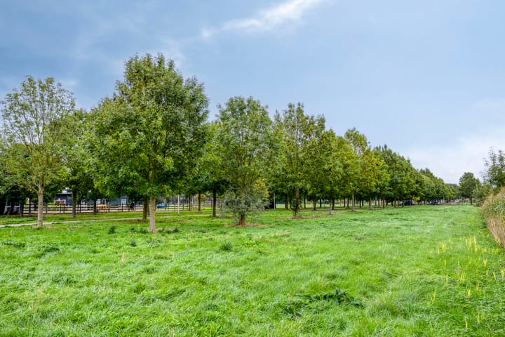 Foto 40 van Smidshoef 15