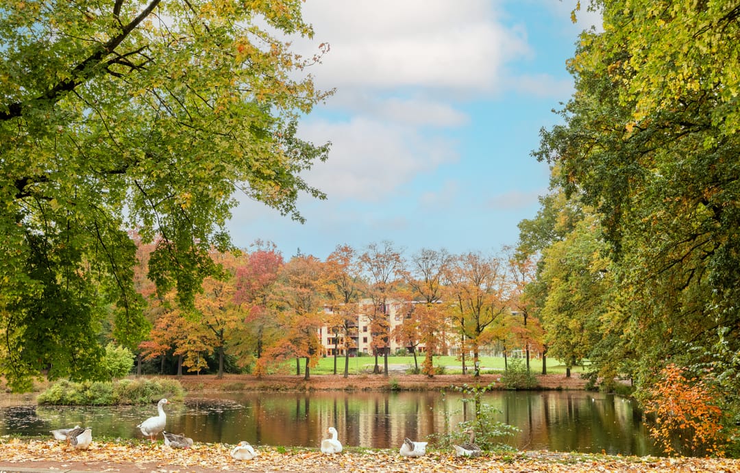 Foto 41 van Klarendalseweg 275