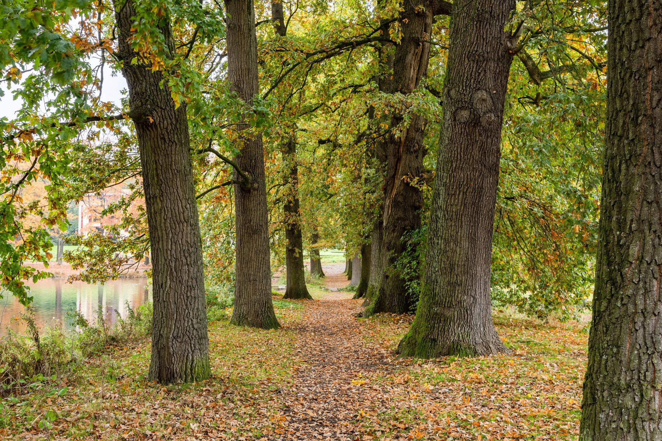 Foto 42 van Klarendalseweg 275