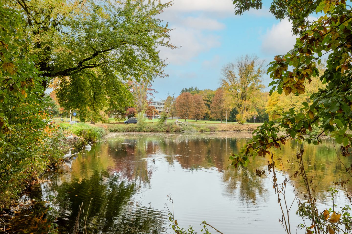 Foto 44 van Klarendalseweg 275