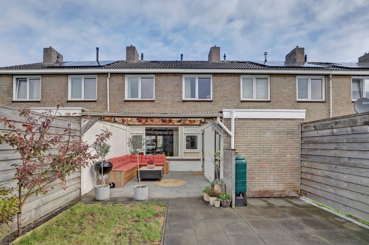 Foto 24 van Learmole 16