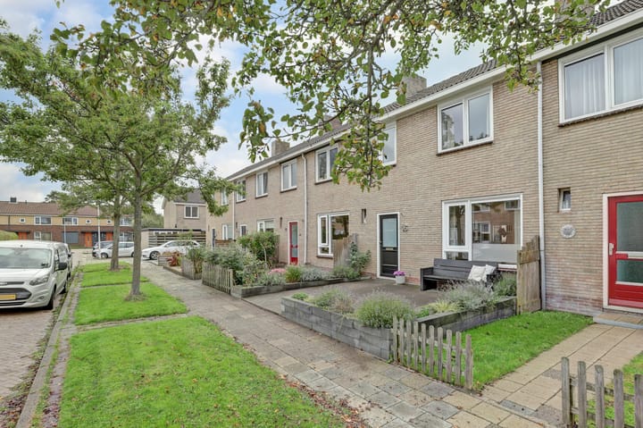 Foto 26 van Learmole 16