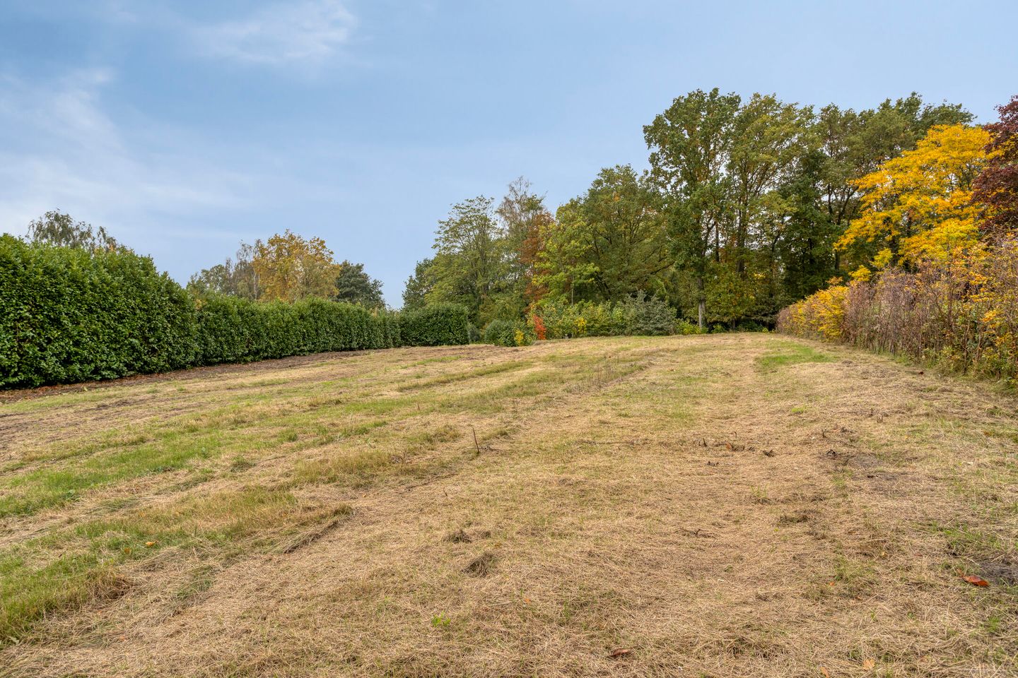 Foto 5 van Klein-Molenbeek 13