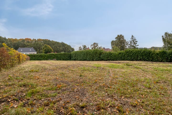 Foto 7 van Klein-Molenbeek 13