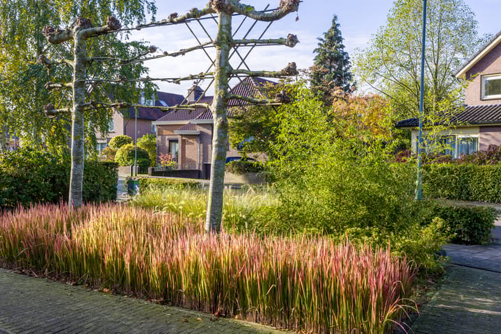 Photo 104 of Gelrestraat 8