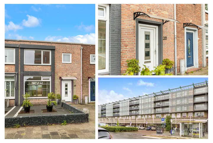 Foto 2 van Plantage 201