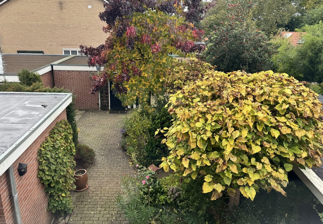 Foto 2 van Keizersdwarsweg 46