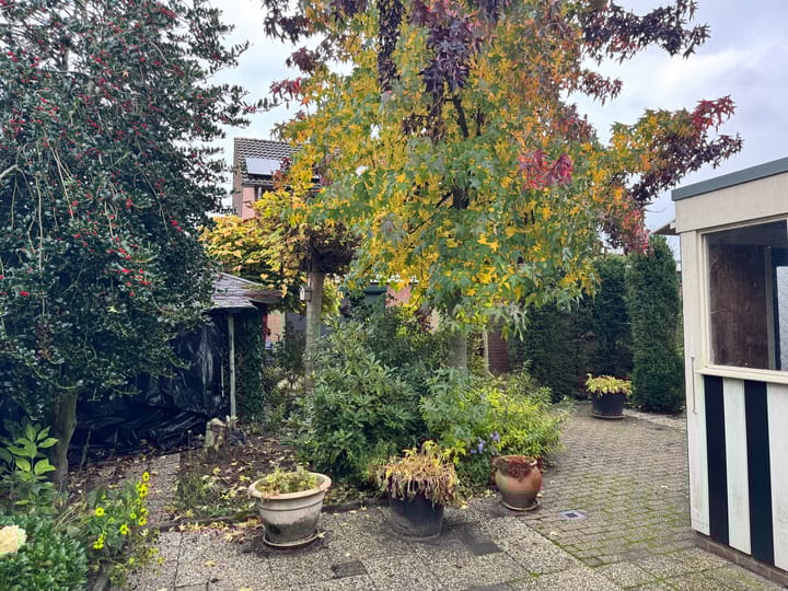 Foto 21 van Keizersdwarsweg 46