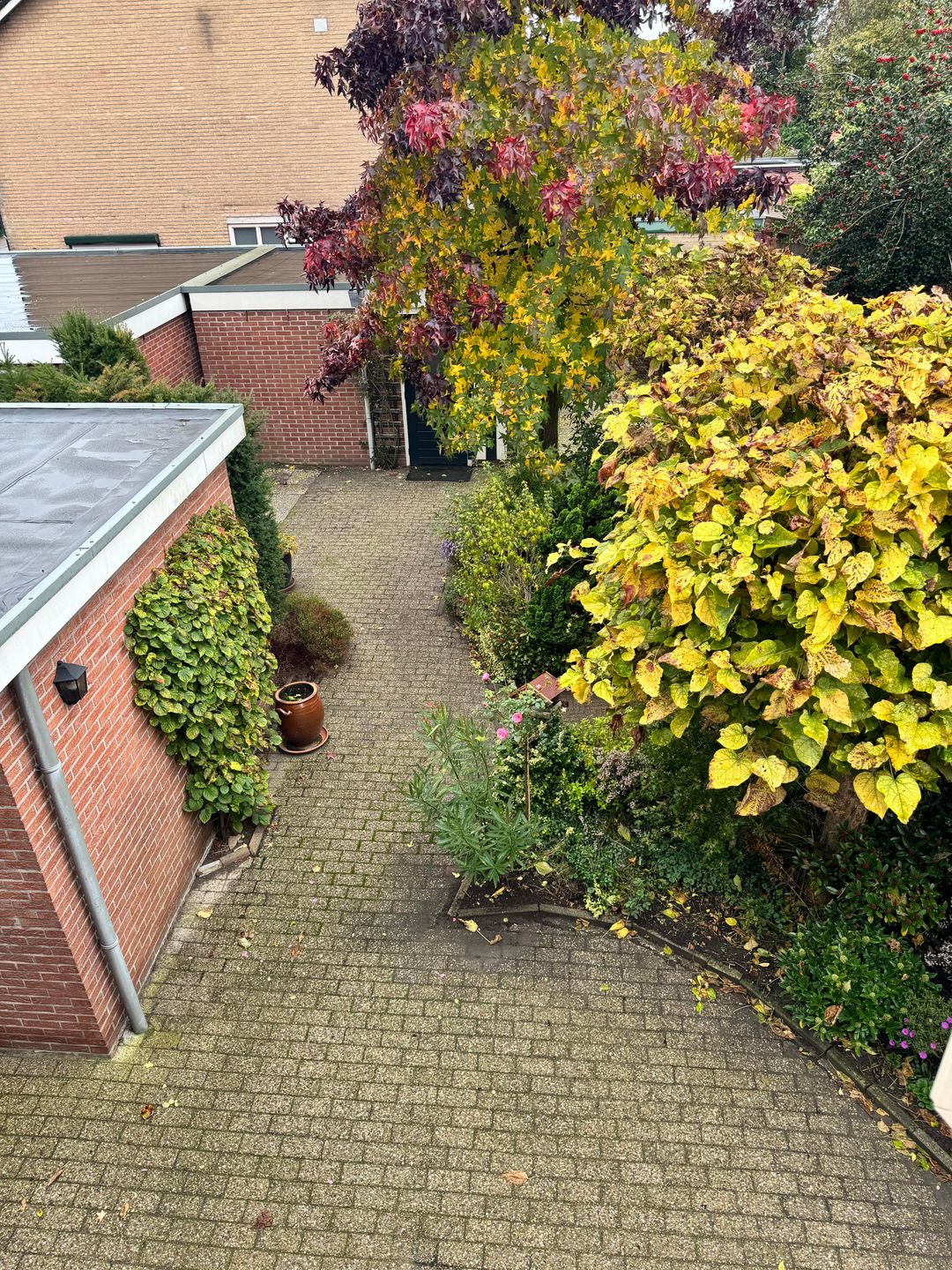 Foto 23 van Keizersdwarsweg 46