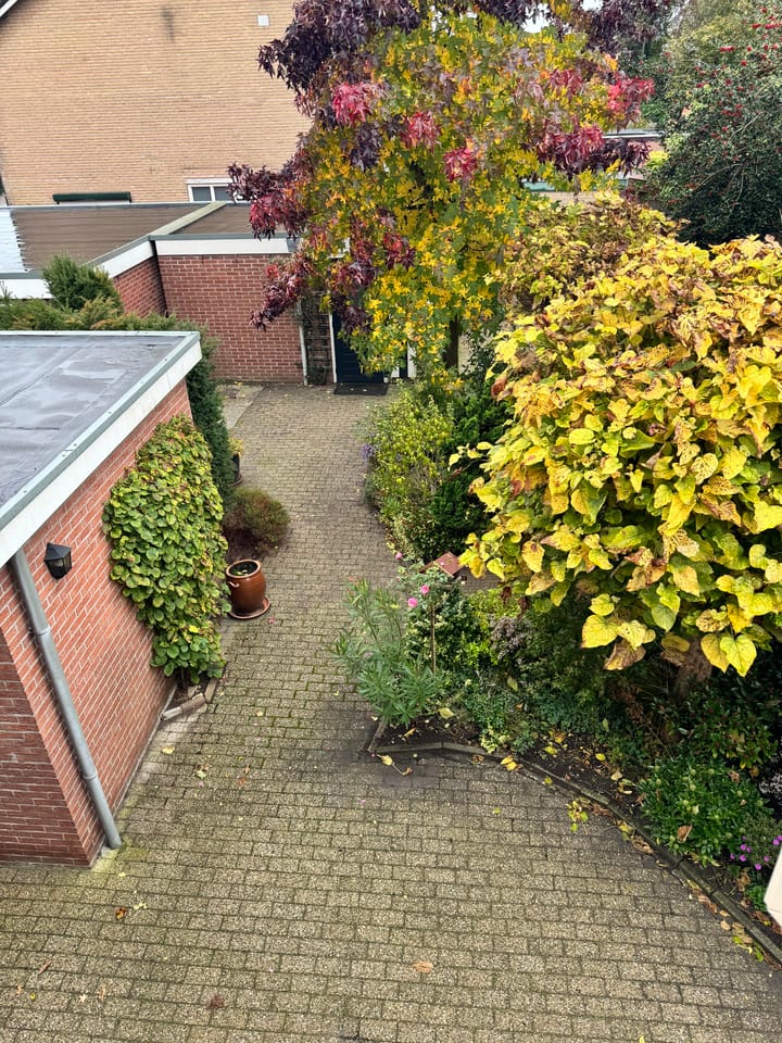 Foto 23 van Keizersdwarsweg 46