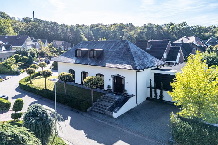 Photo 65 of Moltbos 4