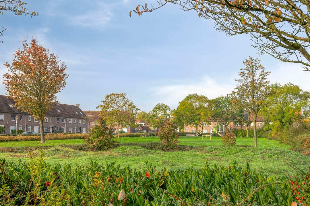 Foto 28 van Cipriano de Rorestraat 13