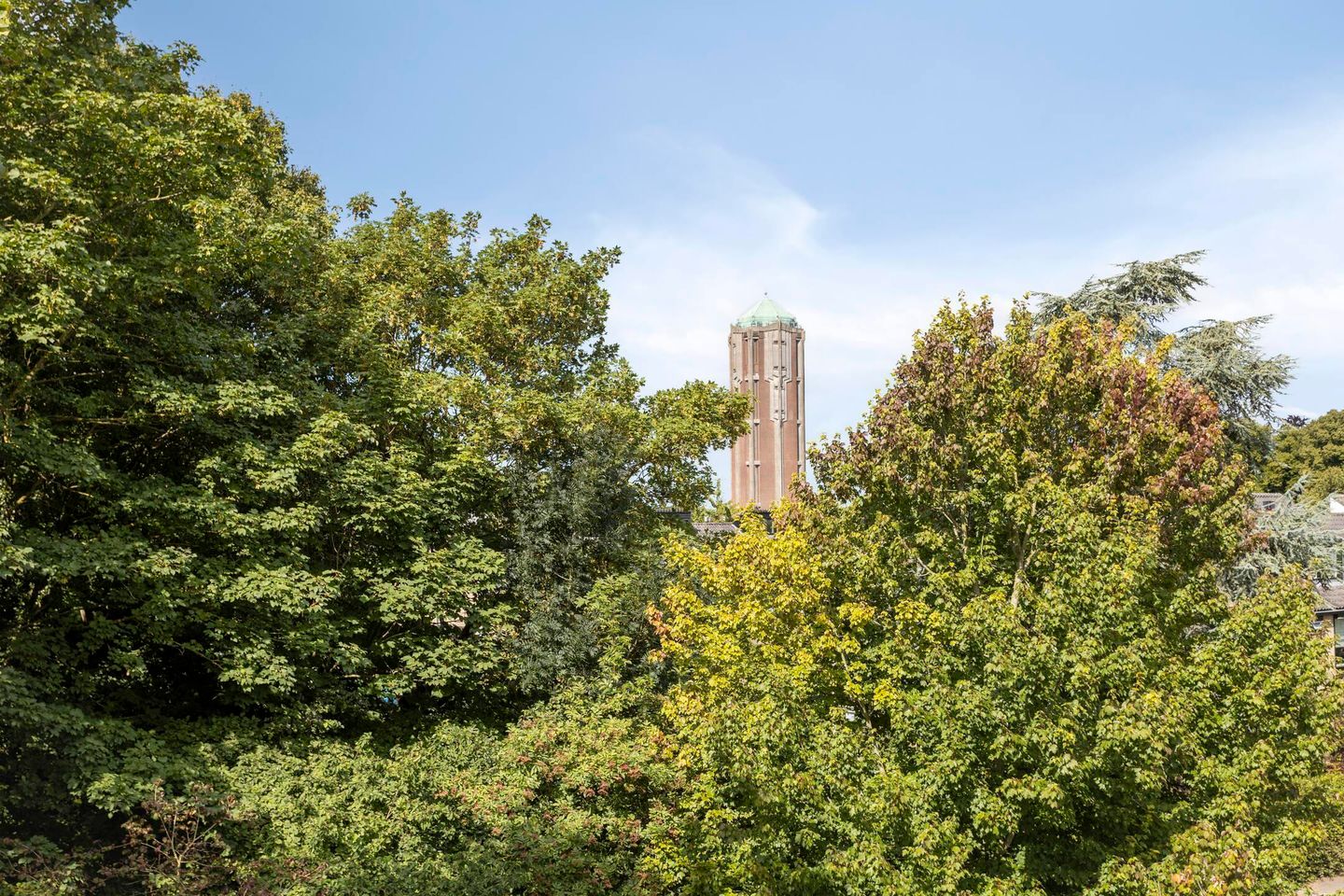 Foto 14 van Roerdomplaan 69