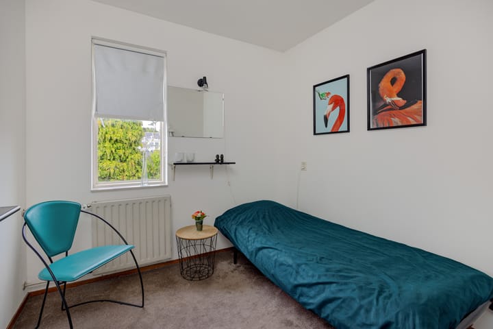 Photo 15 of Regent Smitsstraat 11