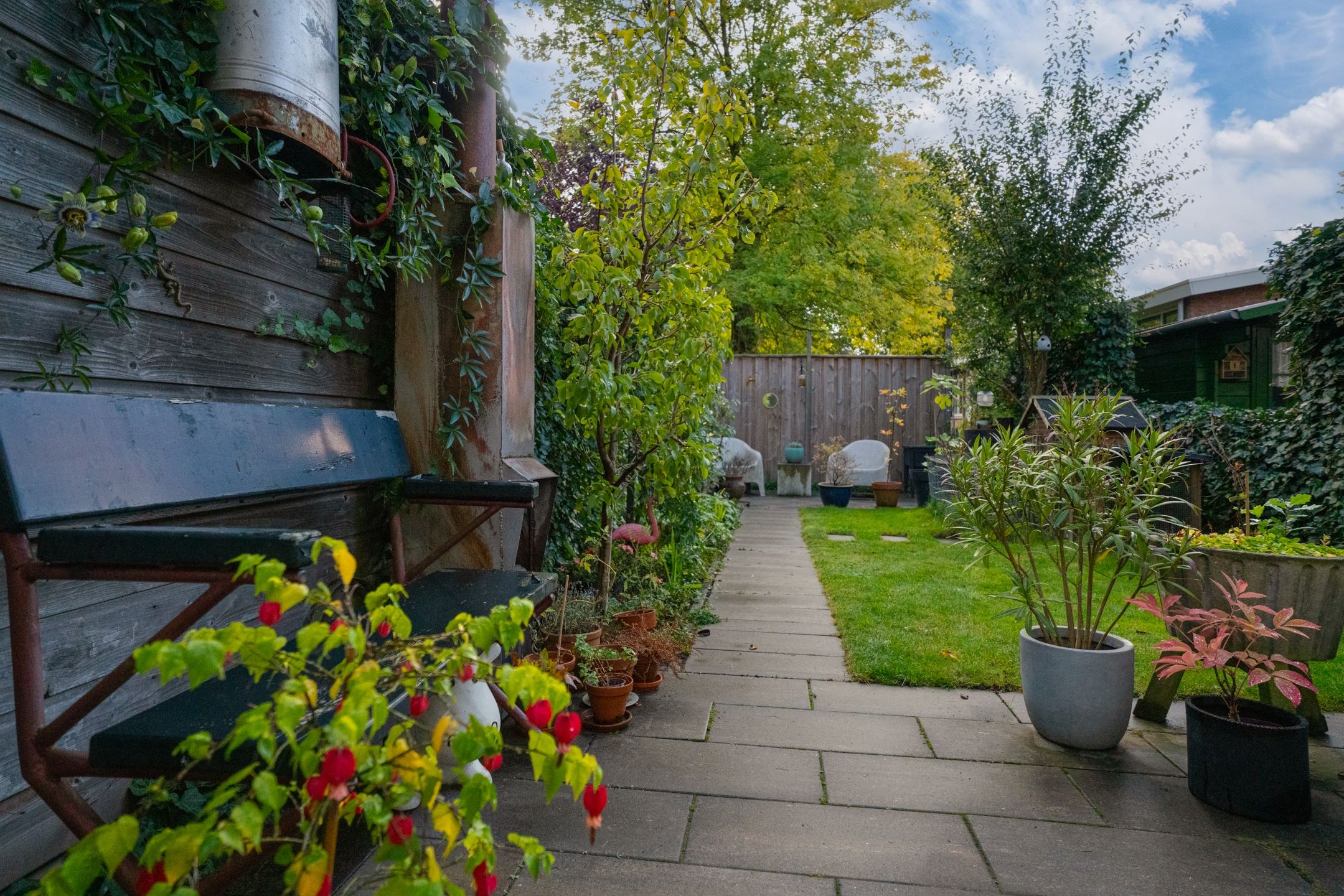 Foto 18 van De Houtmanstraat 113