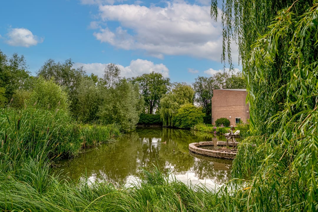 Foto 41 van De Houtmanstraat 113