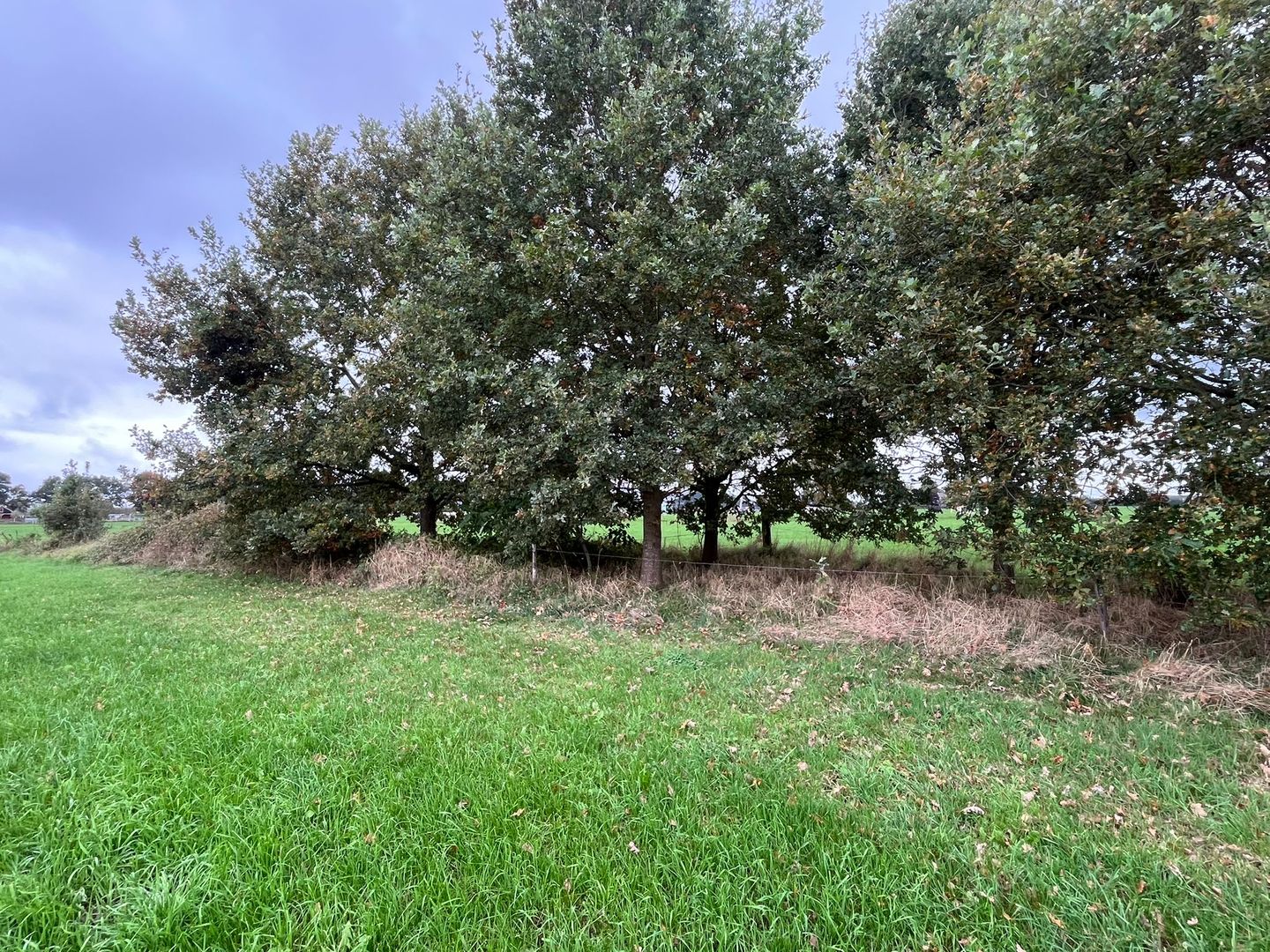 Bekijk foto 3 van Broeklanderweg nabij 77