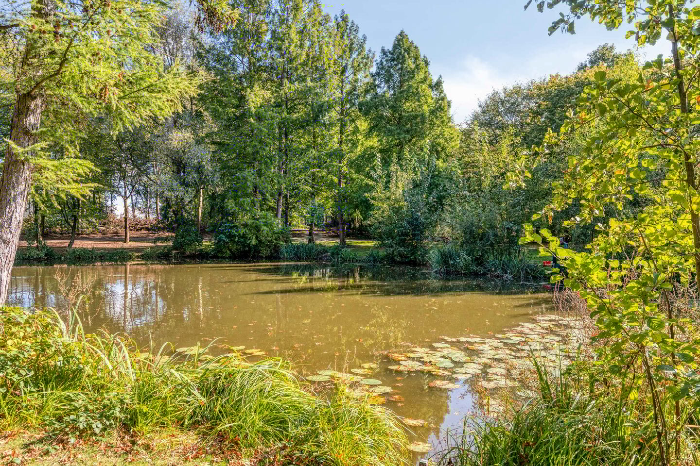 Photo 34 of Verhulstlaan 242