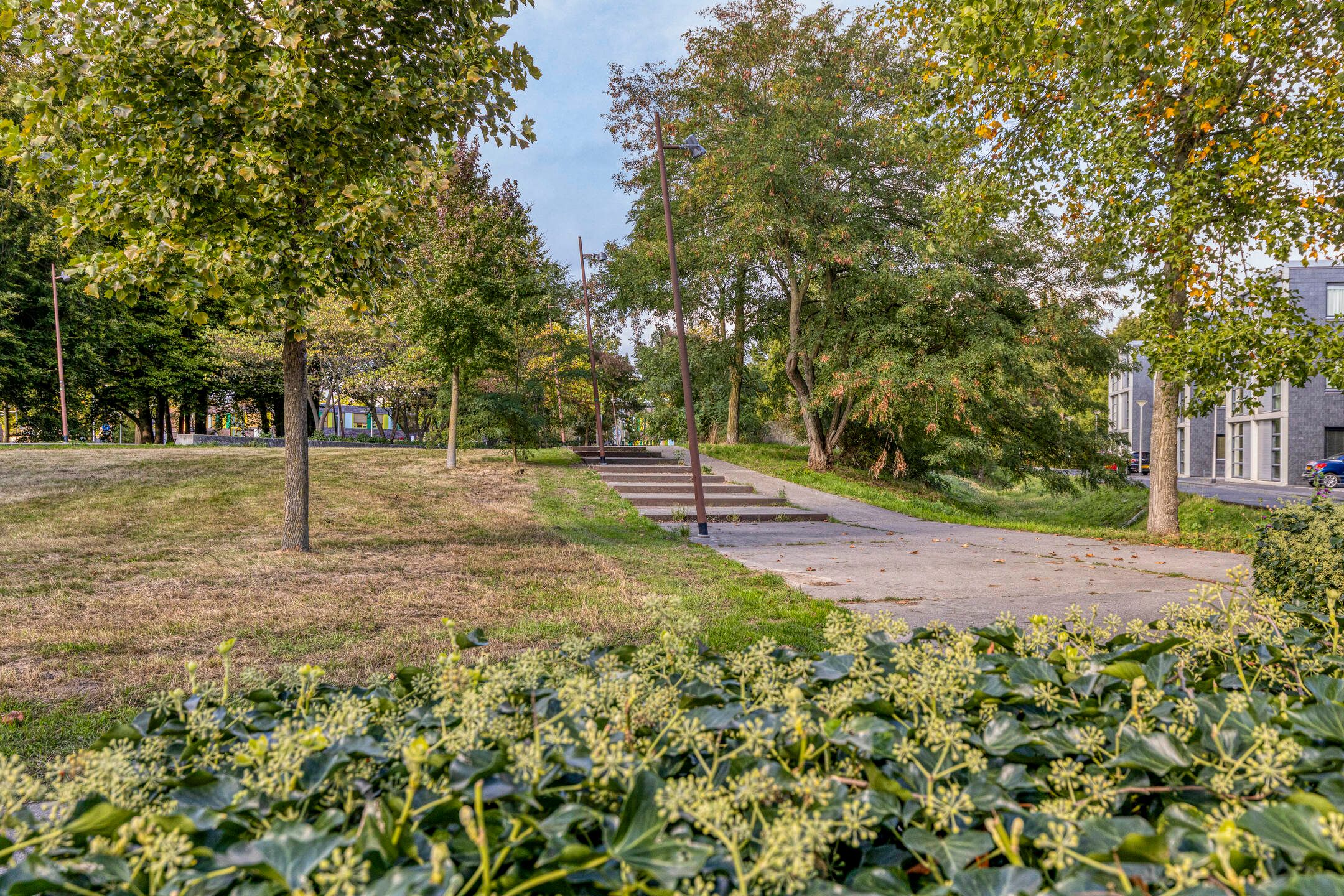 Photo 36 of Verhulstlaan 242