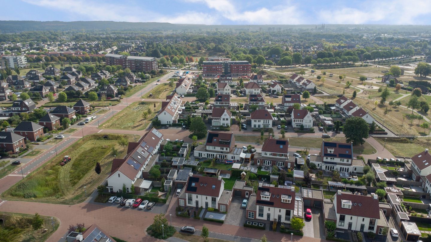 Photo 5 of Plataan 3