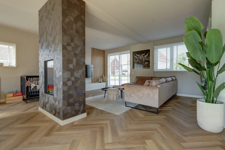 Photo 12 of Plataan 3