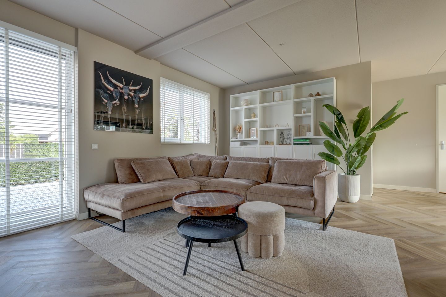 Photo 14 of Plataan 3