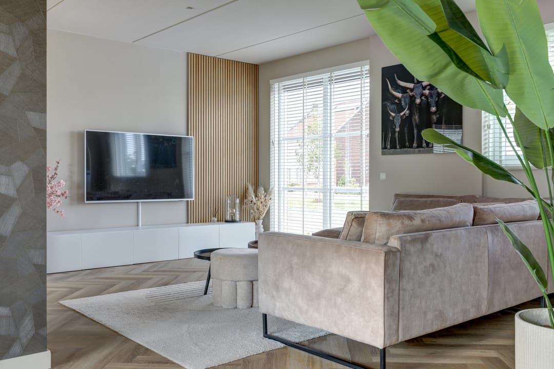 Photo 13 of Plataan 3