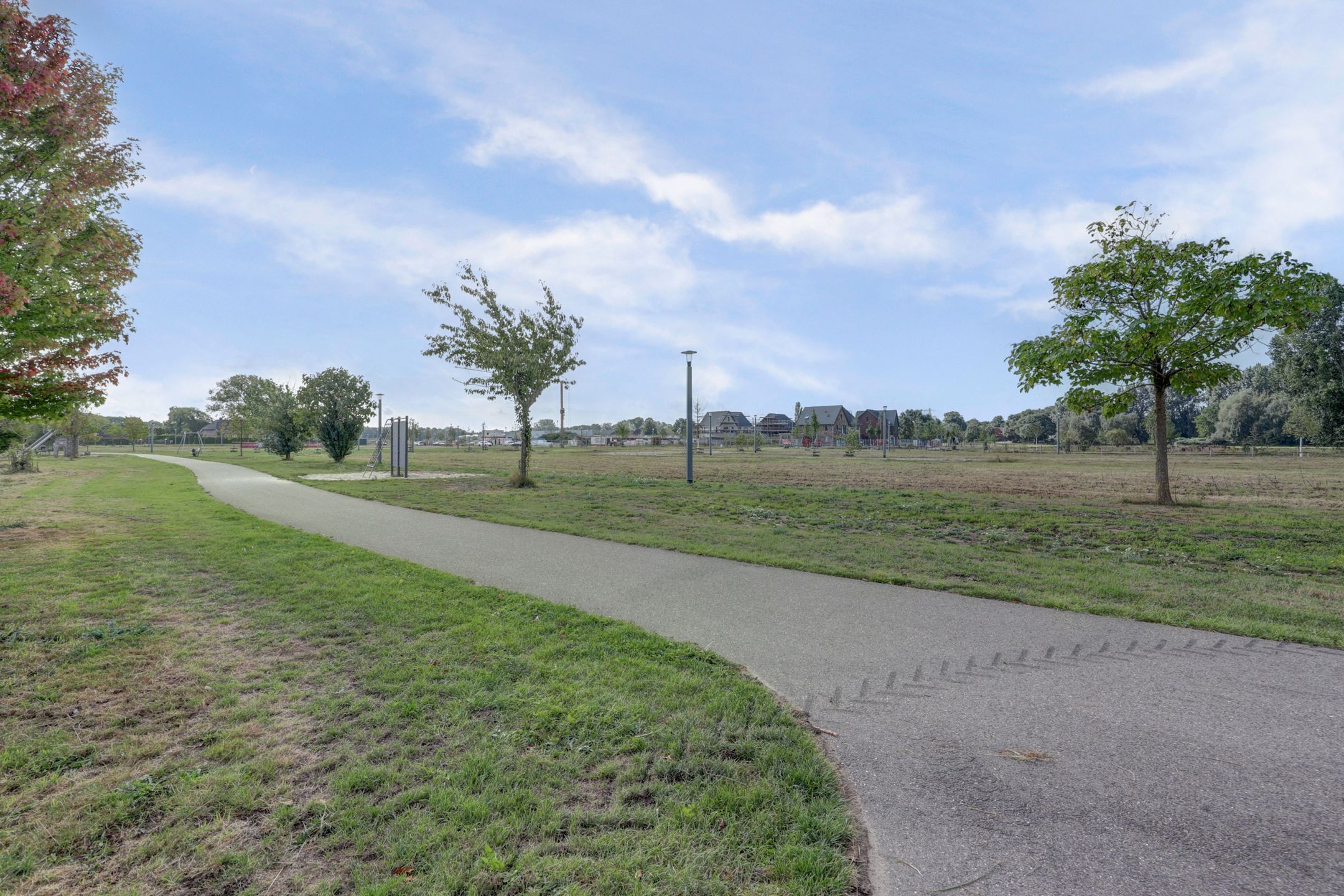 Photo 51 of Plataan 3