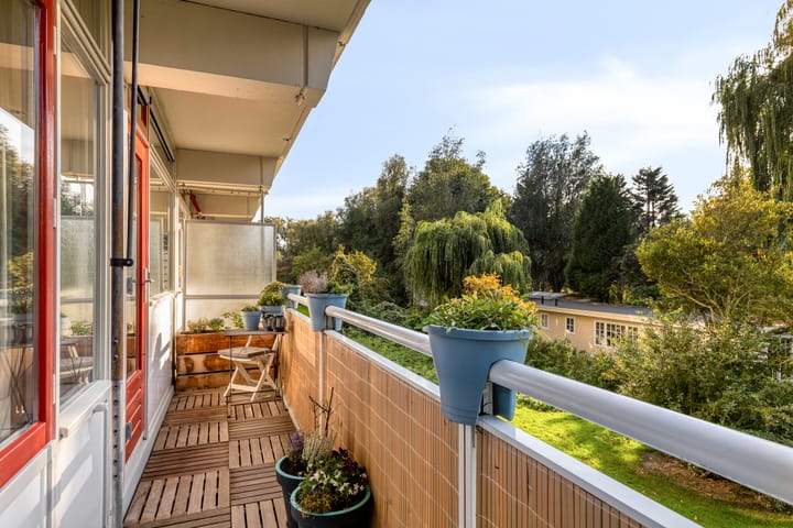 Photo 3 of Jacques Urlusplantsoen 83