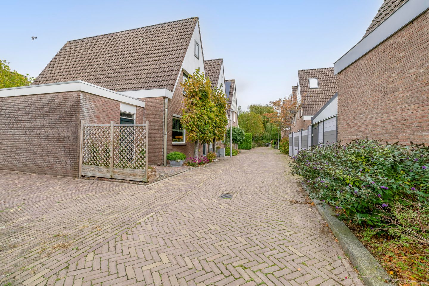 Foto 5 van Buitenhof 11