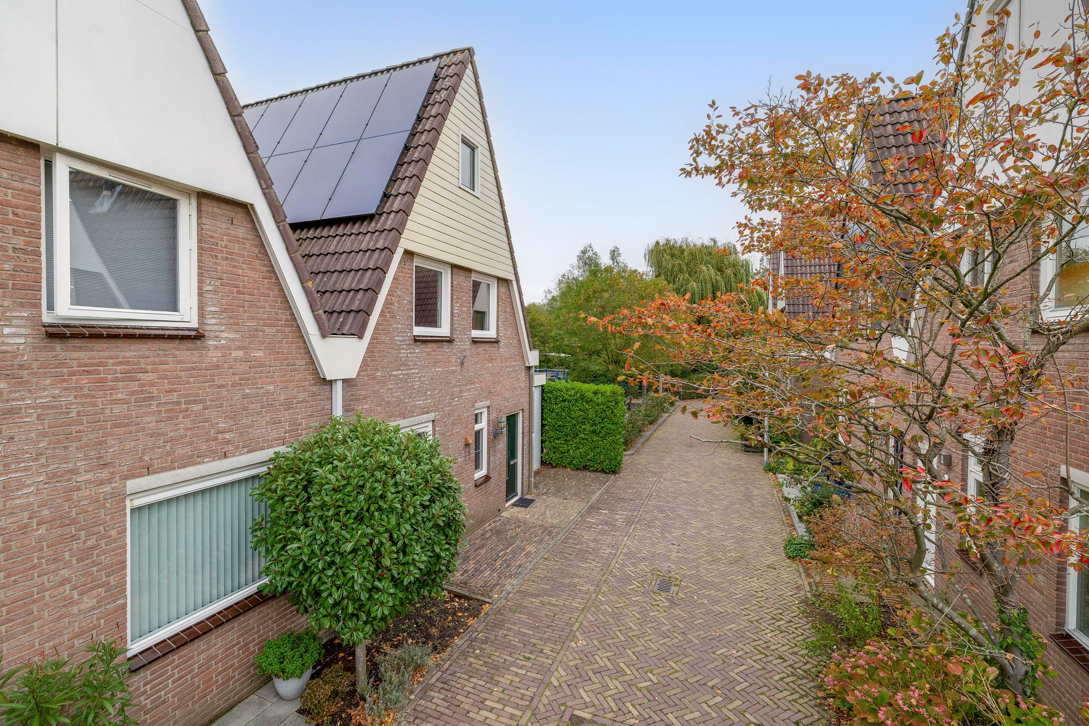 Foto 27 van Buitenhof 11